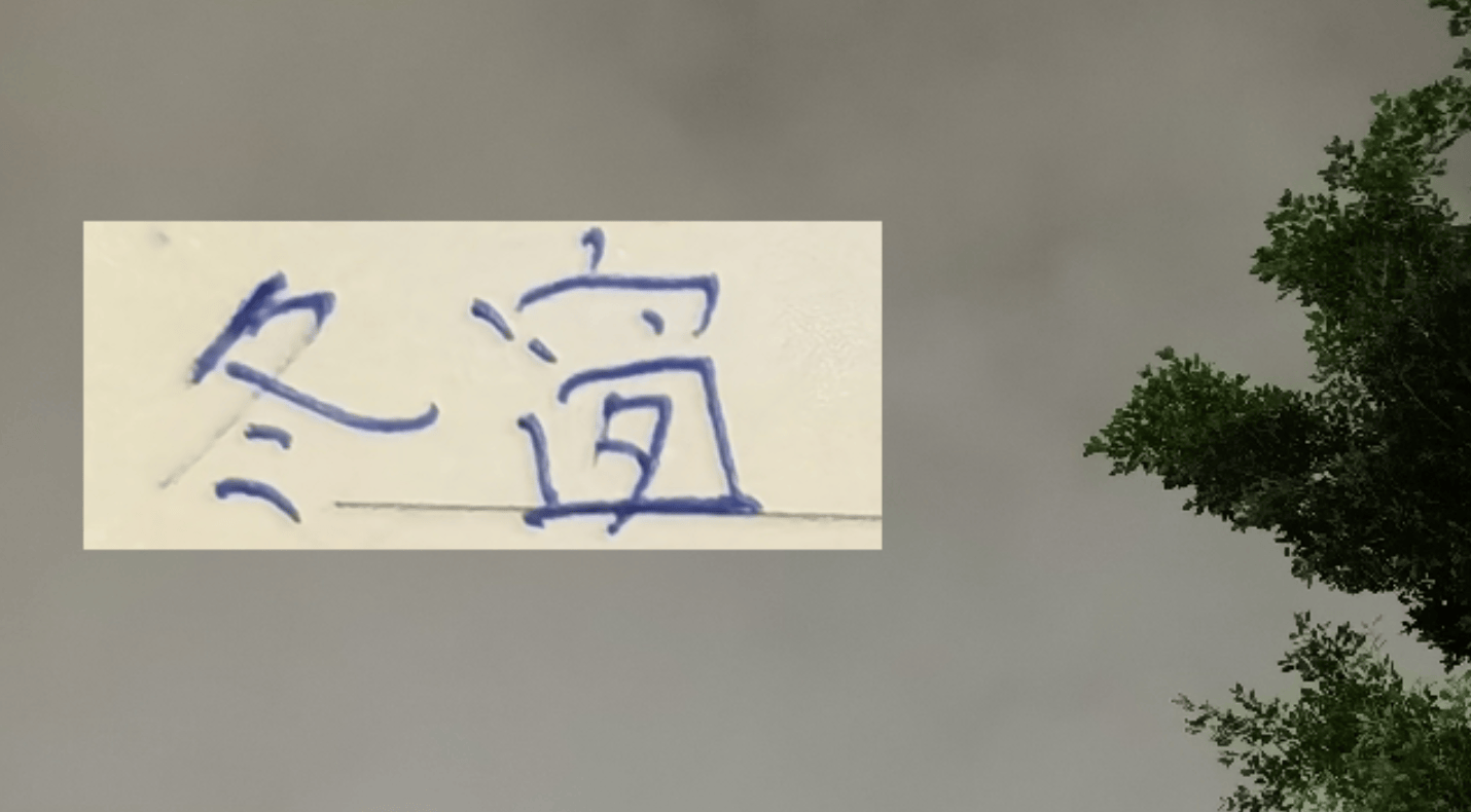 今年中超算是回光！ 居然有德甲+意甲球员加盟联赛